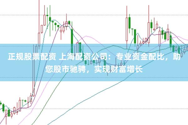 正规股票配资 上海配资公司：专业资金配比，助您股市驰骋，实现财富增长