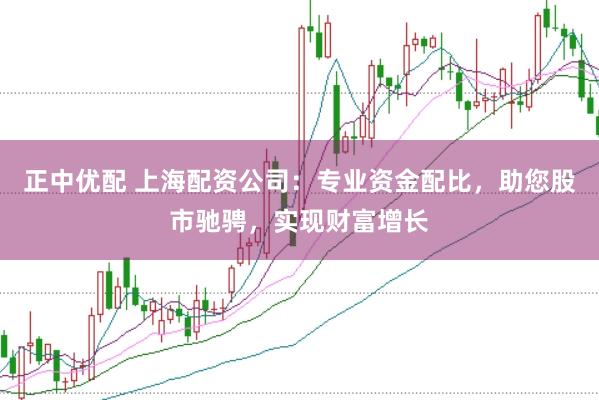 正中优配 上海配资公司：专业资金配比，助您股市驰骋，实现财富增长