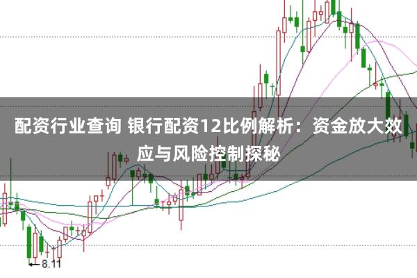 配资行业查询 银行配资12比例解析：资金放大效应与风险控制探秘