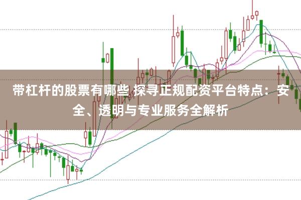 带杠杆的股票有哪些 探寻正规配资平台特点：安全、透明与专业服务全解析