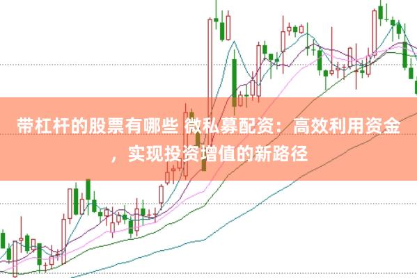 带杠杆的股票有哪些 微私募配资：高效利用资金，实现投资增值的新路径