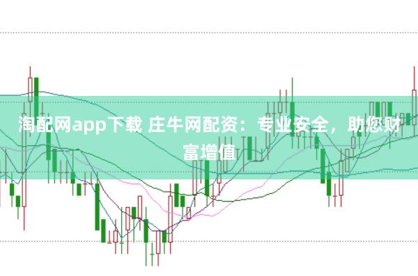 淘配网app下载 庄牛网配资：专业安全，助您财富增值