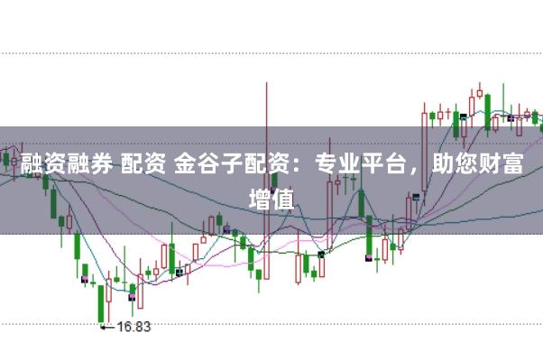 融资融券 配资 金谷子配资：专业平台，助您财富增值
