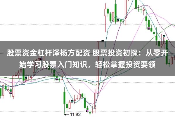 股票资金杠杆泽杨方配资 股票投资初探：从零开始学习股票入门知识，轻松掌握投资要领