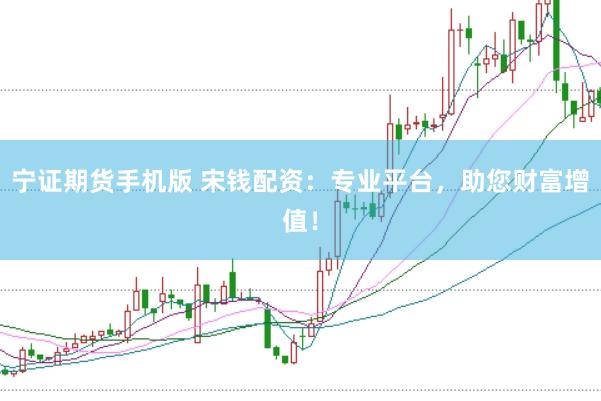 宁证期货手机版 宋钱配资：专业平台，助您财富增值！