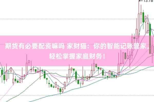 期货有必要配资嘛吗 家财猫：你的智能记账管家，轻松掌握家庭财务！