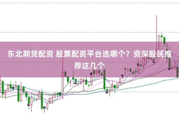 东北期货配资 股票配资平台选哪个？资深股民推荐这几个