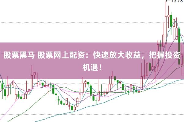 股票黑马 股票网上配资：快速放大收益，把握投资机遇！