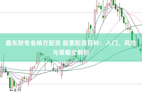 鑫东财专业杨方配资 股票配资百科：入门、风险与策略全解析