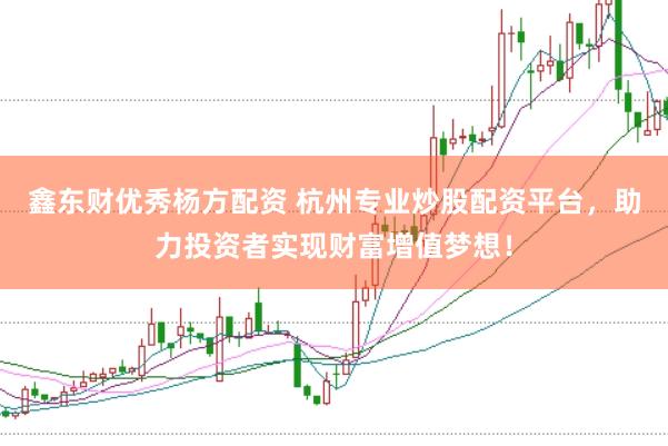鑫东财优秀杨方配资 杭州专业炒股配资平台，助力投资者实现财富增值梦想！