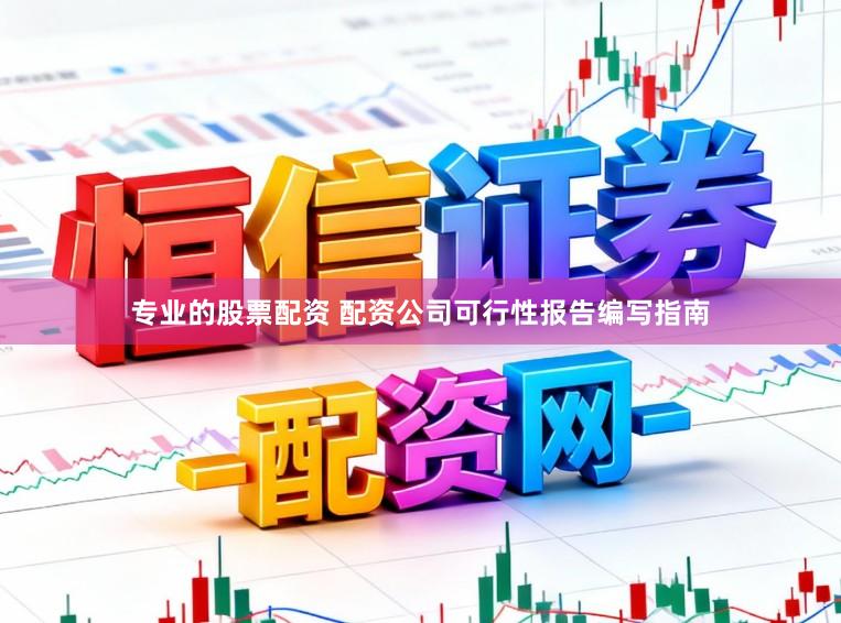 专业的股票配资 配资公司可行性报告编写指南